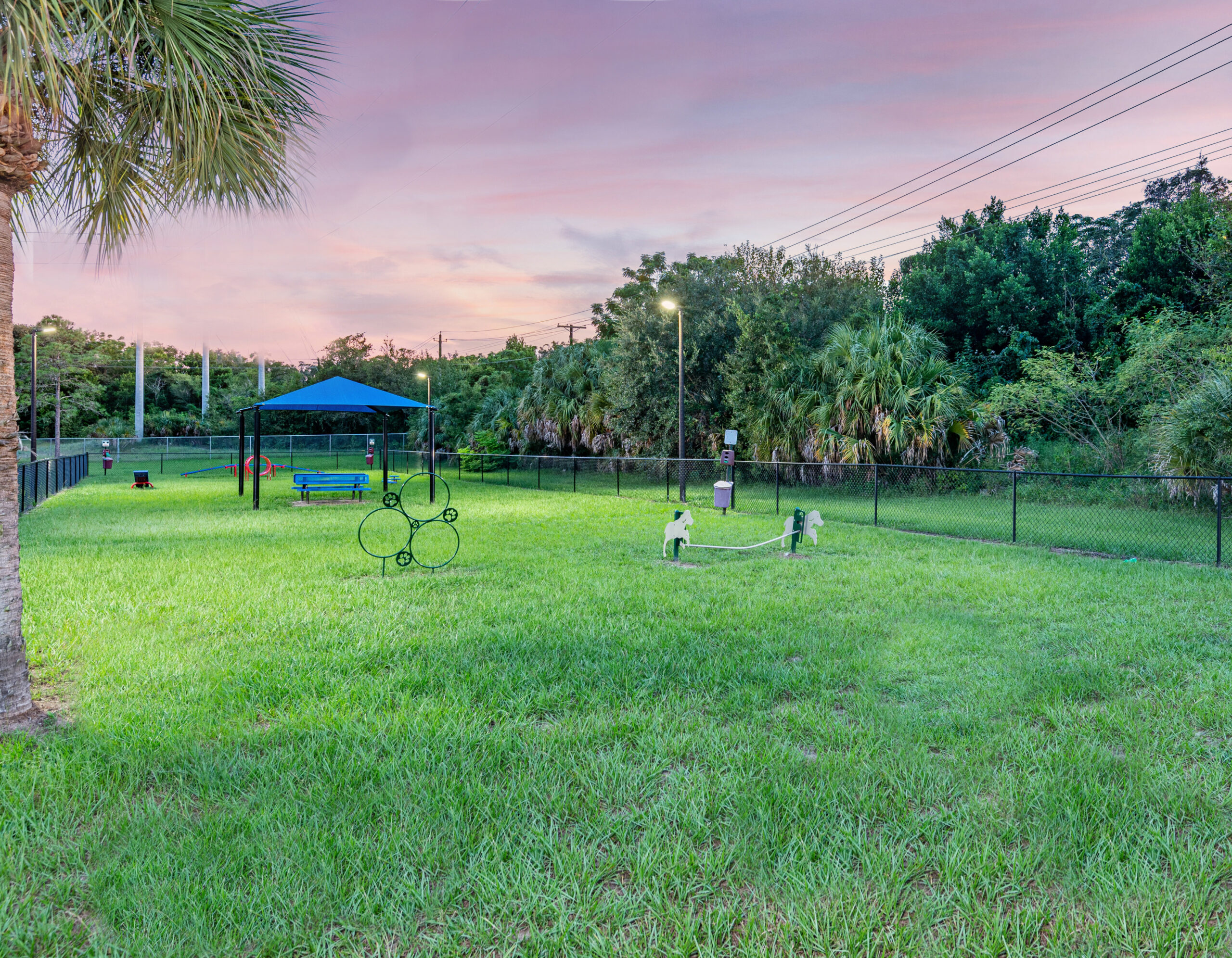 Dog park